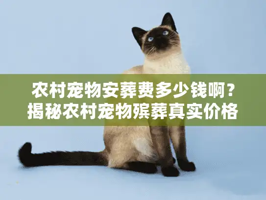 农村宠物安葬费多少钱啊?揭秘农村宠物殡葬真实价格 农村宠物安葬费多少钱啊?揭秘农村宠物殡葬真实价格