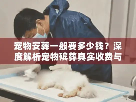 宠物安葬一般要多少钱？深度解析宠物殡葬真实收费与隐形消费