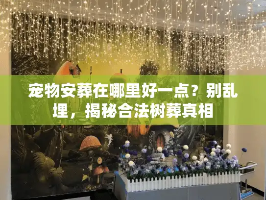 宠物安葬在哪里好一点?别乱埋,揭秘合法树葬真相 宠物安葬在哪里好一点?别乱埋,揭秘合法树葬真相