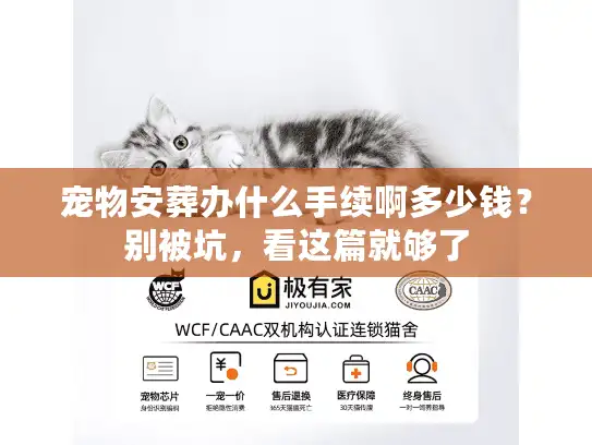 宠物安葬办什么手续啊多少钱？别被坑，看这篇就够了