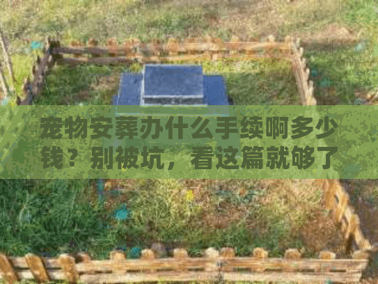 宠物安葬办什么手续啊多少钱？别被坑，看这篇就够了