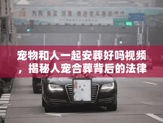 宠物和人一起安葬好吗视频，揭秘人宠合葬背后的法律禁区与温情替代