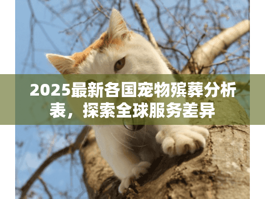 2025最新各国宠物殡葬分析表，探索全球服务差异