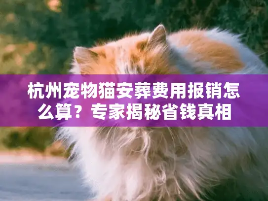 杭州宠物猫安葬费用报销怎么算？专家揭秘省钱真相