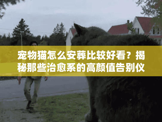 宠物猫怎么安葬比较好看？揭秘那些治愈系的高颜值告别仪式