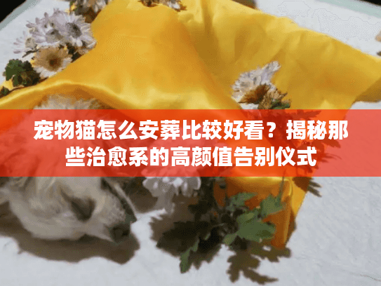 宠物猫怎么安葬比较好看？揭秘那些治愈系的高颜值告别仪式