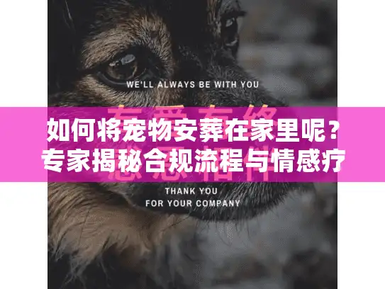 如何将宠物安葬在家里呢？专家揭秘合规流程与情感疗愈法