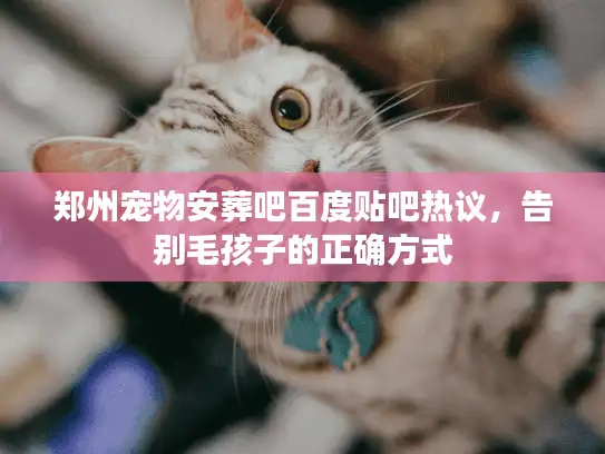 郑州宠物安葬吧百度贴吧热议，告别毛孩子的正确方式