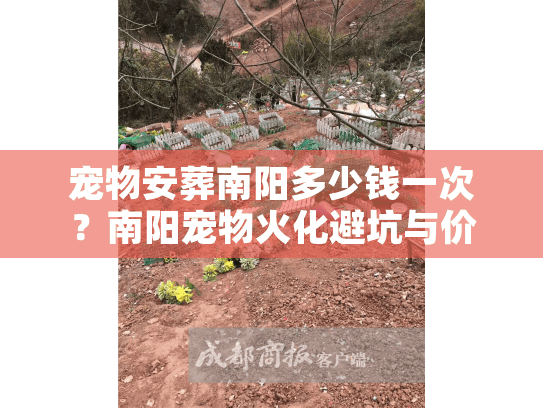 宠物安葬南阳多少钱一次？南阳宠物火化避坑与价格真相