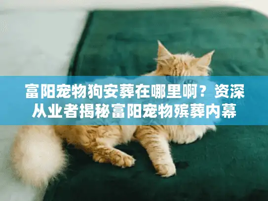 富阳宠物狗安葬在哪里啊？资深从业者揭秘富阳宠物殡葬内幕