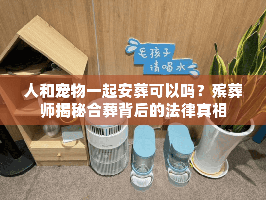 人和宠物一起安葬可以吗？殡葬师揭秘合葬背后的法律真相
