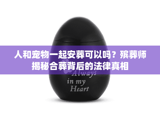 人和宠物一起安葬可以吗？殡葬师揭秘合葬背后的法律真相
