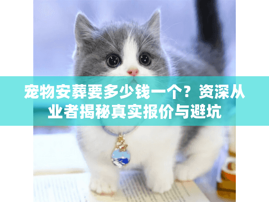 宠物安葬要多少钱一个？资深从业者揭秘真实报价与避坑