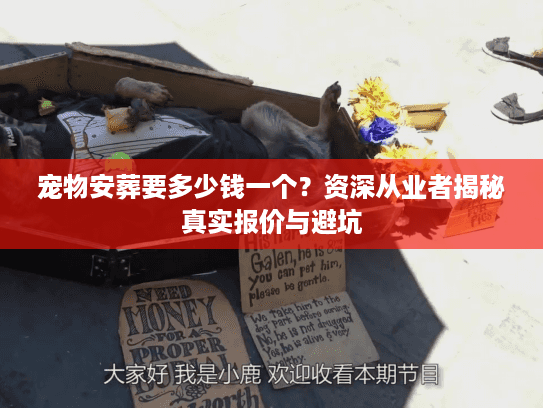 宠物安葬要多少钱一个？资深从业者揭秘真实报价与避坑