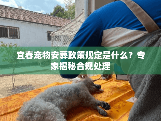 宜春宠物安葬政策规定是什么?专家揭秘合规处理 宜春宠物安葬政策规定是什么?专家揭秘合规处理