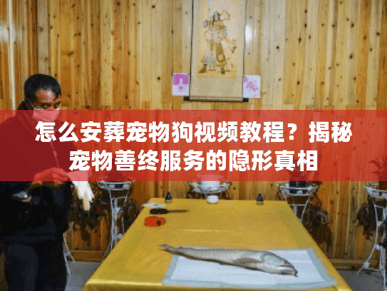 怎么安葬宠物狗视频教程？揭秘宠物善终服务的隐形真相