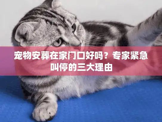 宠物安葬在家门口好吗?专家紧急叫停的三大理由 宠物安葬在家门口好吗?专家紧急叫停的三大理由