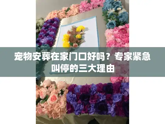 宠物安葬在家门口好吗?专家紧急叫停的三大理由 宠物安葬在家门口好吗?专家紧急叫停的三大理由