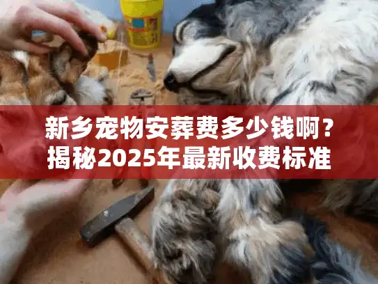 新乡宠物安葬费多少钱啊？揭秘2025年最新收费标准