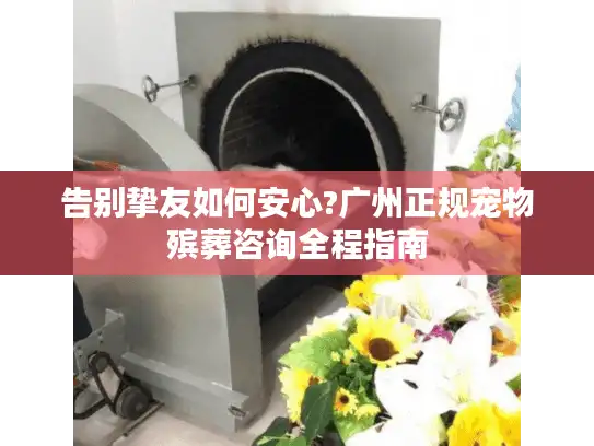 告别挚友如何安心?广州正规宠物殡葬咨询全程指南