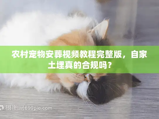 农村宠物安葬视频教程完整版，自家土埋真的合规吗？