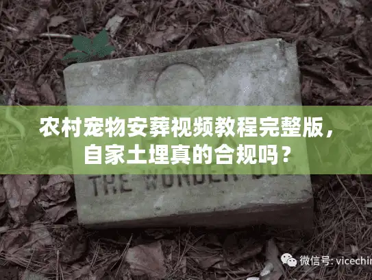 农村宠物安葬视频教程完整版，自家土埋真的合规吗？