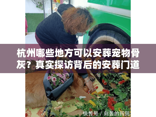 杭州哪些地方可以安葬宠物骨灰？真实探访背后的安葬门道