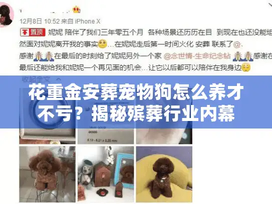 花重金安葬宠物狗怎么养才不亏？揭秘殡葬行业内幕