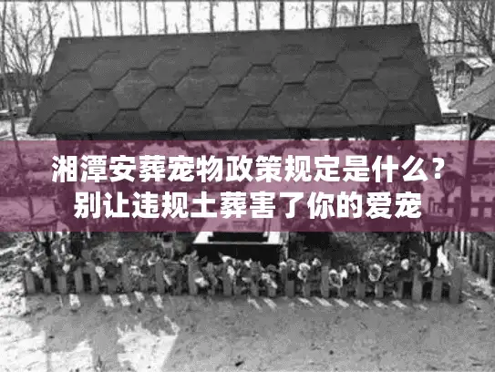 湘潭安葬宠物政策规定是什么?别让违规土葬害了你的爱宠 湘潭安葬宠物政策规定是什么?别让违规土葬害了你的爱宠