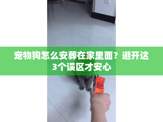 宠物狗怎么安葬在家里面？避开这3个误区才安心