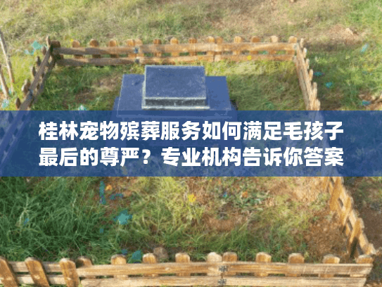 桂林宠物殡葬服务如何满足毛孩子最后的尊严?专业机构告诉你答案 桂林宠物殡葬服务如何满足毛孩子最后的尊严?专业机构告诉你答案