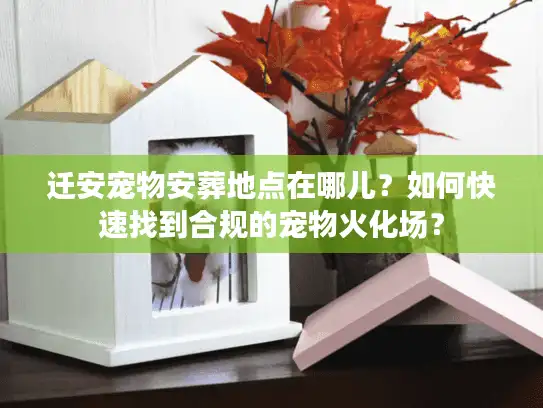 迁安宠物安葬地点在哪儿?如何快速找到合规的宠物火化场? 迁安宠物安葬地点在哪儿?如何快速找到合规的宠物火化场?