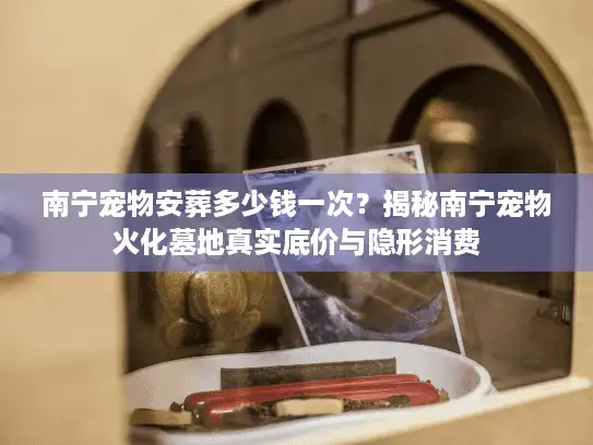 南宁宠物安葬多少钱一次?揭秘南宁宠物火化墓地真实底价与隐形消费 南宁宠物安葬多少钱一次?揭秘南宁宠物火化墓地真实底价与隐形消费