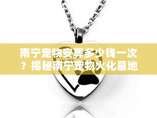 南宁宠物安葬多少钱一次?揭秘南宁宠物火化墓地真实底价与隐形消费 南宁宠物安葬多少钱一次?揭秘南宁宠物火化墓地真实底价与隐形消费
