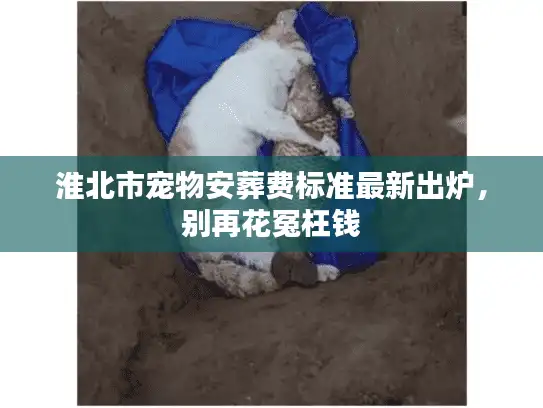 淮北市宠物安葬费标准最新出炉，别再花冤枉钱