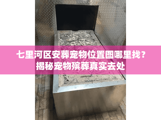 七里河区安葬宠物位置图哪里找？揭秘宠物殡葬真实去处