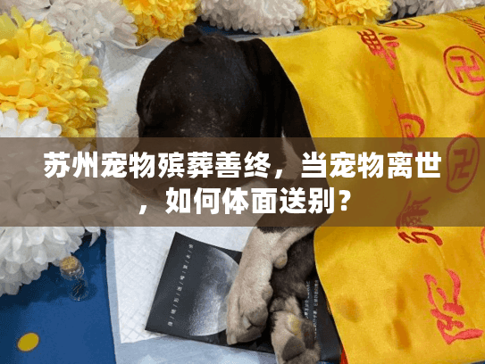 苏州宠物殡葬善终,当宠物离世,如何体面送别? 苏州宠物殡葬善终,当宠物离世,如何体面送别?