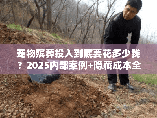 宠物殡葬投入到底要花多少钱?2025内部案例+隐藏成本全曝光 宠物殡葬投入到底要花多少钱?2025内部案例+隐藏成本全曝光