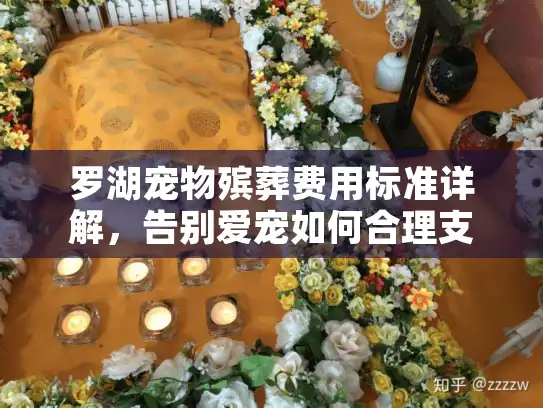 罗湖宠物殡葬费用标准详解，告别爱宠如何合理支出不踩坑