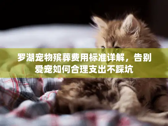 罗湖宠物殡葬费用标准详解，告别爱宠如何合理支出不踩坑