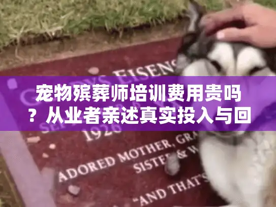宠物殡葬师培训费用贵吗？从业者亲述真实投入与回报
