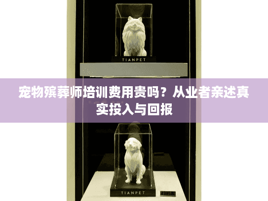 宠物殡葬师培训费用贵吗？从业者亲述真实投入与回报