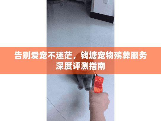 告别爱宠不迷茫，钱塘宠物殡葬服务深度评测指南
