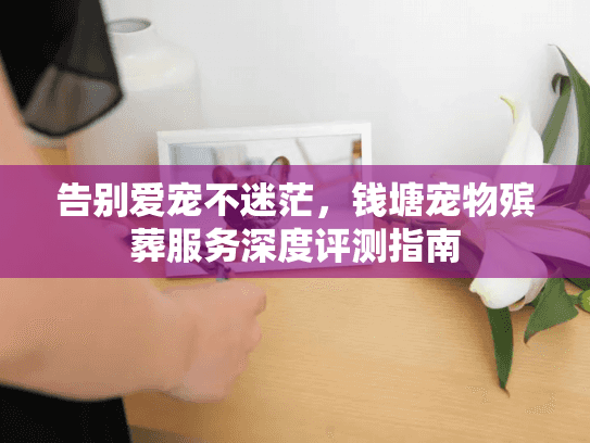 告别爱宠不迷茫，钱塘宠物殡葬服务深度评测指南