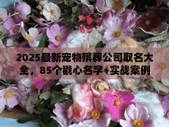 2025最新宠物殡葬公司取名大全，85个戳心名字+实战案例，能让客户主动找你吗？