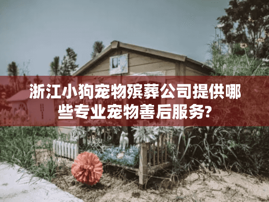 浙江小狗宠物殡葬公司提供哪些专业宠物善后服务?