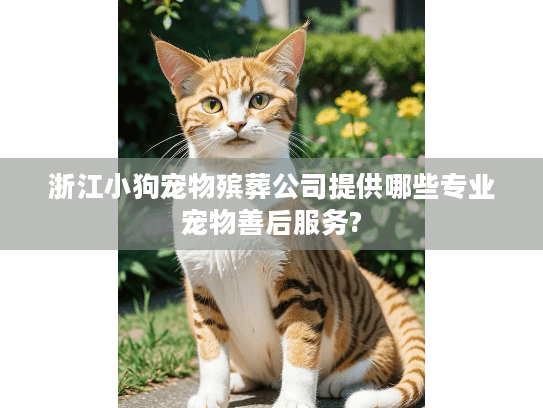 浙江小狗宠物殡葬公司提供哪些专业宠物善后服务?