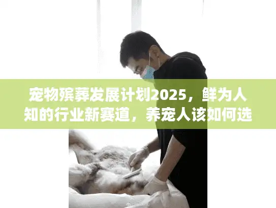 宠物殡葬发展计划2025，鲜为人知的行业新赛道，养宠人该如何选择？