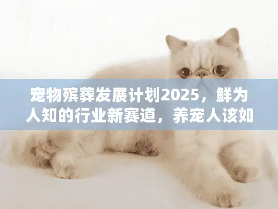 宠物殡葬发展计划2025，鲜为人知的行业新赛道，养宠人该如何选择？