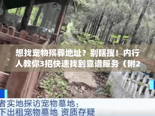 想找宠物殡葬地址？别瞎搜！内行人教你3招快速找到靠谱服务（附2025最新注意事项）